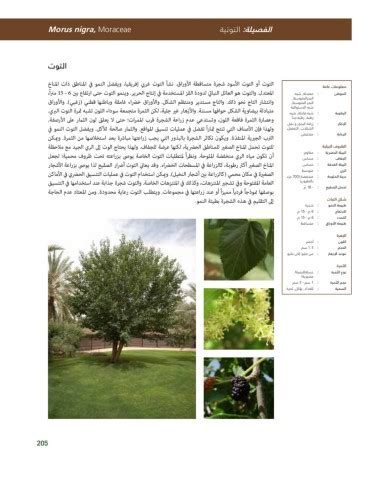 Riyadh Plants Manual Ar Ci Oy الصفحة 206 PDF على الإنترنت