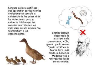 Evoluci N Fijismo Y Evolucionismo Ppt