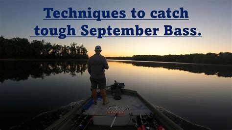 Mastering The September Transition Tips And Tricks For Hooking