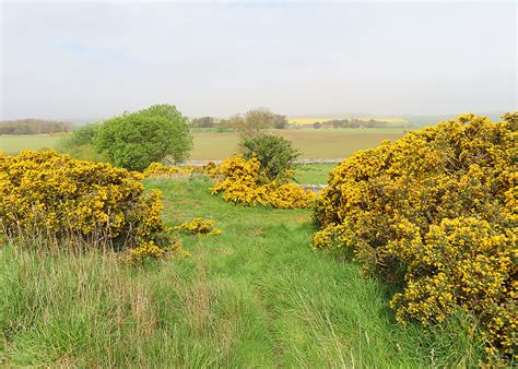 Whins Anne Burgess Cc By Sa Geograph Britain And Ireland