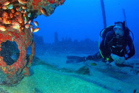 Buceando En Recife Noroeste De Brasil ~ Buceo ~