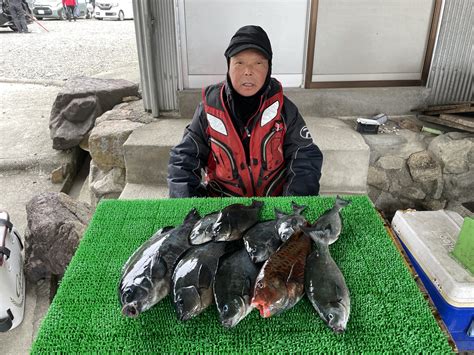 磯釣りでグレ43㎝まで9枚・イガミ・ゲット！ 一栄丸渡船｜三重県紀北町