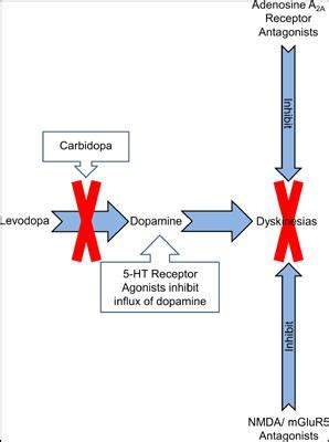 治疗帕金森病的治疗药物和方法概述 CNS Neurological Disorders Drug Targets X MOL