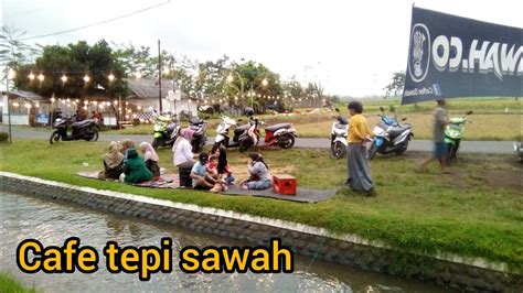 Cafe Tepi Sawah Yosowilangun YouTube