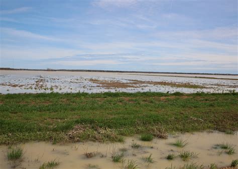 Flash floods pose hazards for ag commodity production | Picayune Item