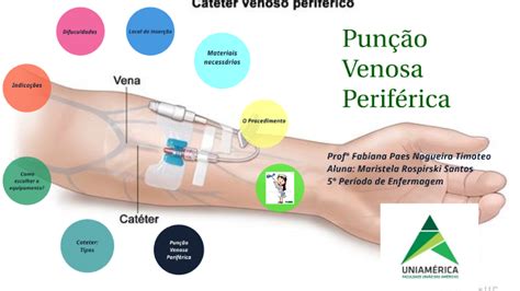 Pun O Venosa Perif Rica By Maristela Rospirski Santos On Prezi