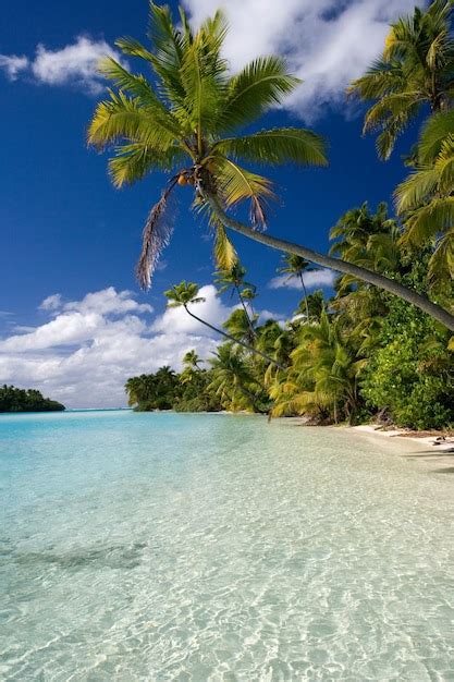 Premium Photo | Cook islands aitutaki lagoon