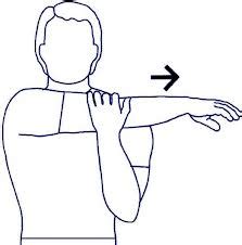 The Issue of Posture and the Rounded Shoulder - Alexandria Rehabilitation