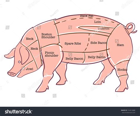 Pork Pig Cuts Stock Vector 314012888 - Shutterstock