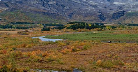 mountain  stream landscape  stock photo