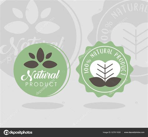 Two Natural Labels Stock Vector By Yupiramos 527811630