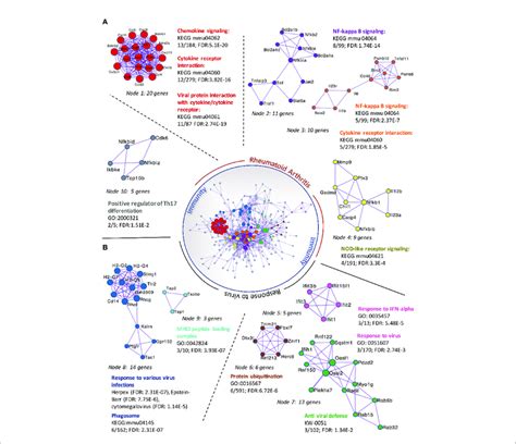 Protein Protein Interaction Networks Of Upregulated Degs In C