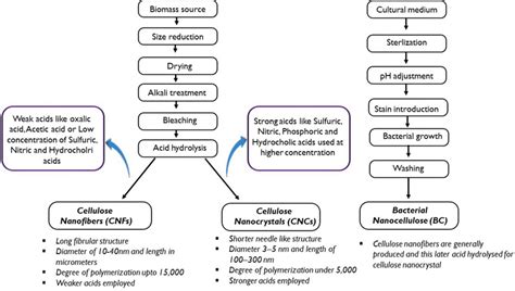 Generalized Schematic Diagram Of Classification Of Nanocellulose From