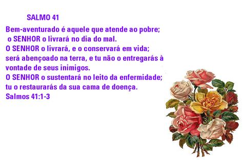 SALMOS: SALMO 41