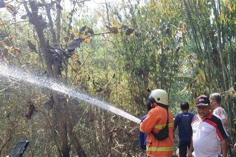 Diduga Gegara Puntung Rokok Lahan Hektare Di Mendoyo Terbakar