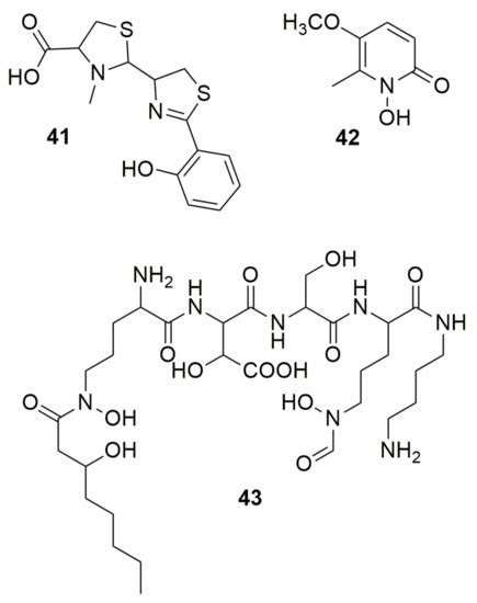 Molecules Special Issue Antibacterial Antifungal And Antiviral