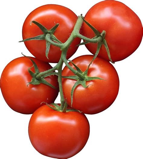 Cherry tomato Clip art - tomato png download - 2421*2400 - Free Transparent Cherry Tomato png ...