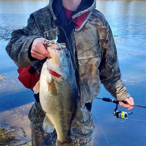 Clayton County Reservoir Fishing Reports🎣• Stockbridge Ga United