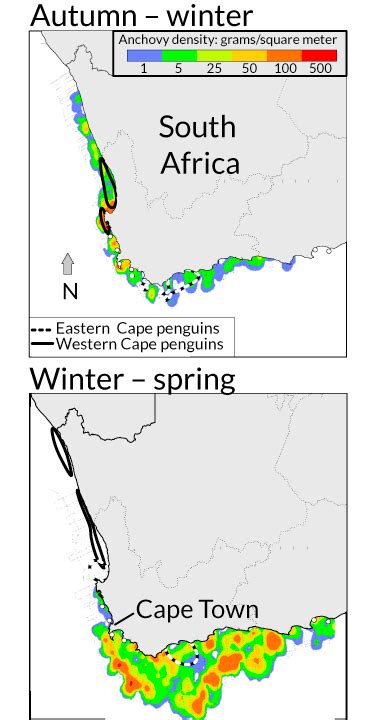 Emperor Penguin Migration Map