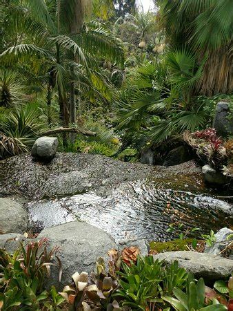 San Diego Botanic Garden (Encinitas) - 2019 All You Need to Know BEFORE You Go (with Photos ...