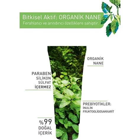 Yves Rocher Karma Ve Yağlı Ciltler Için Pure Menthe Fiyatı