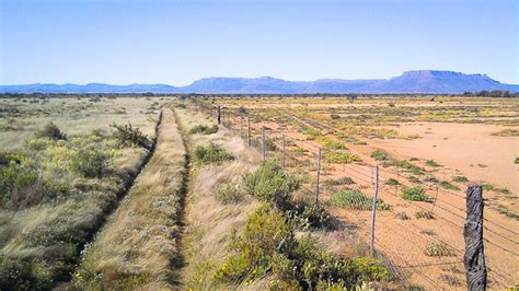 Reversing Desertification with Livestock - Our World