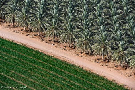 On Twitter The Farms Of Qassim