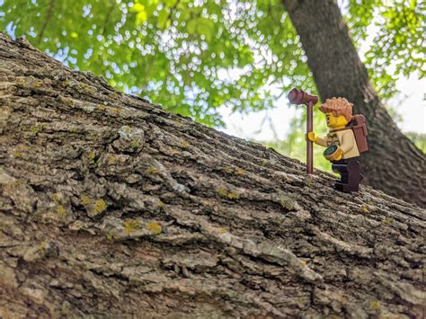 Lego Ideas Youre The Final Piece Nature A Hike In The Trees