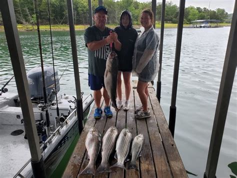 Beaver Lake Striped Bass Fishing Report Guided Striper