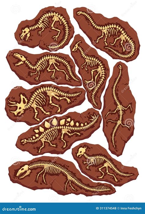 Dinosaur Fossil Skeleton Bones Excavations Of Archeology Isolated Set