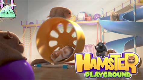 ハムスターを育てて試合に挑むゲーム【hamster Playground】 Youtube