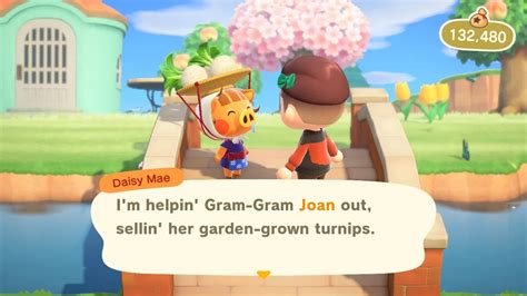 Animal Crossing New Horizons How To Buy And Sell Turnips Make