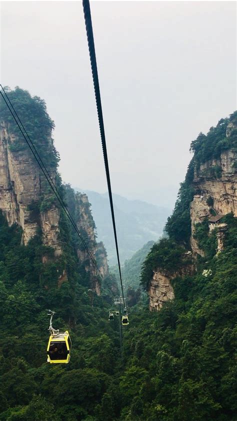 山的灵动—张家界之行（含杨家界精华） 武陵源旅游攻略 游记 去哪儿攻略