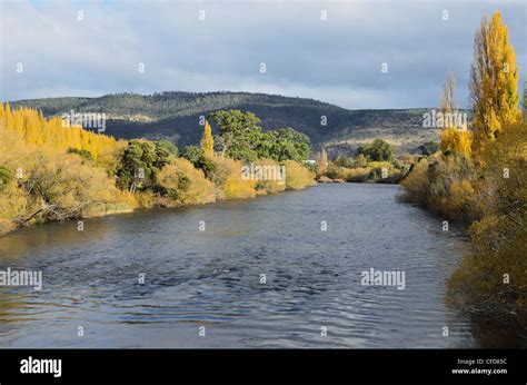 River Derwent, Bushy Park, Tasmania, Australia, Pacific Stock Photo - Alamy