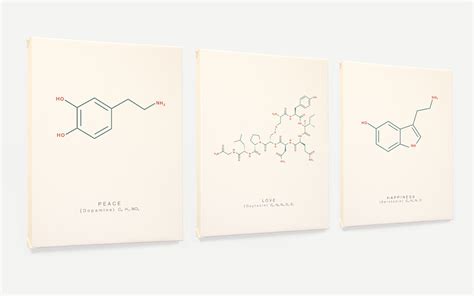 Peace Love And Happiness Molecules Art Serotonin Oxytocin Etsy