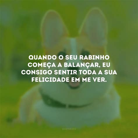 Frases De Amor Para Cachorro Que Enaltecem Seu C Opanheiro