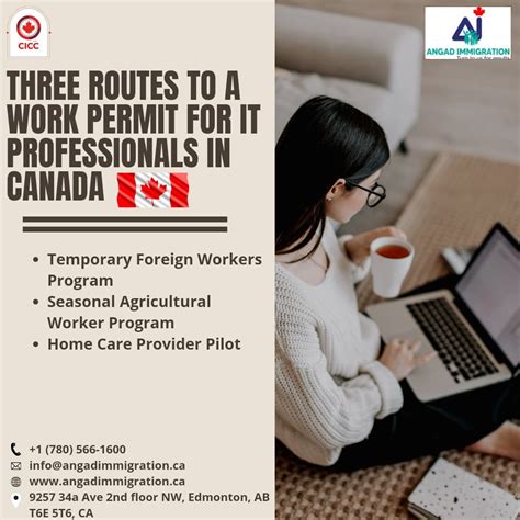 Three Routes To A Work Permit For IT Professionals In Canada