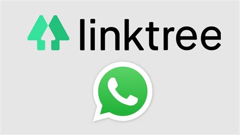 Como Colocar WhatsApp No Linktree E Ter Um Perfil Completo