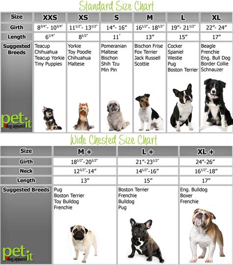 Chihuahua Weight Chart