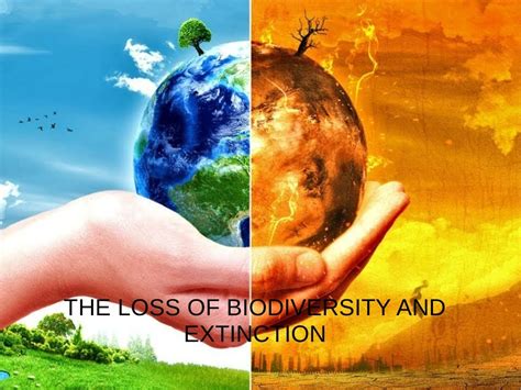 Extinction and loss of biodiversity