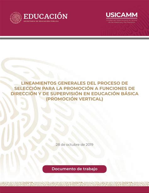 Pdf Lineamientos Generales Del Proceso De SelecciÓn Para Evaluacion