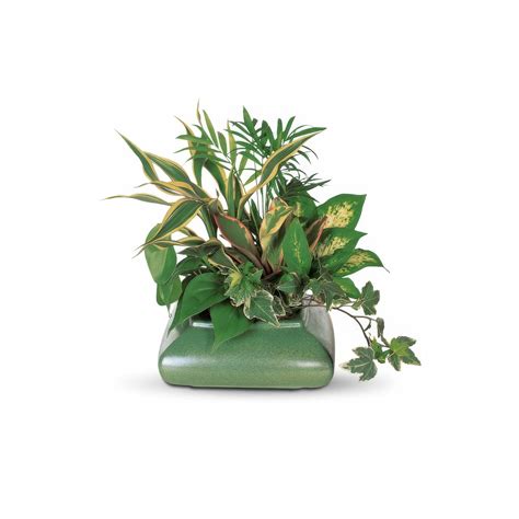 Archives help explain the Thomas Francis O'Brien influence on local law 14