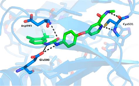 Structure Of Braf In Complex With Pdb Id Uwh Key H Bond