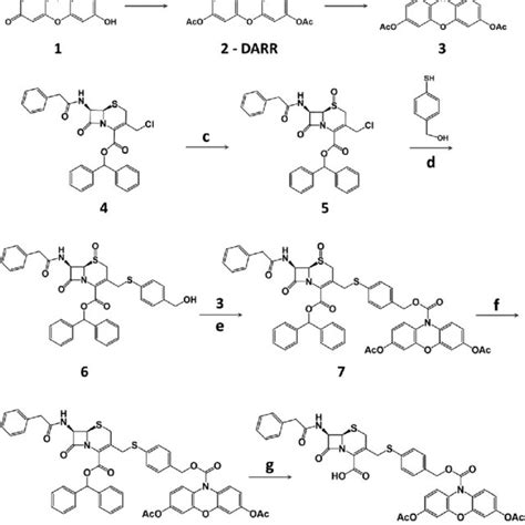 Scheme 1 Synthesis Of Cda A I Zn Acoh Rt Ii Acetone Dmap Ac Download Scientific