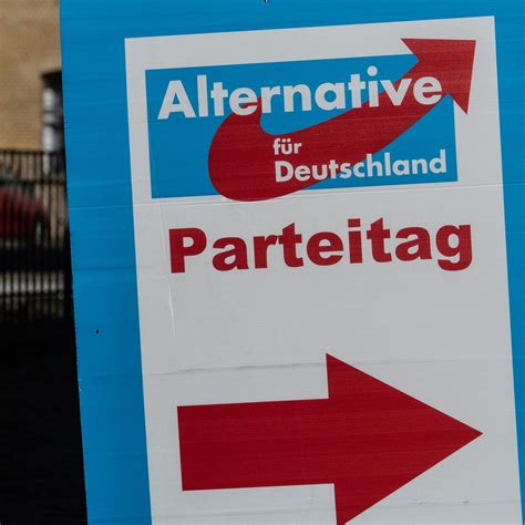 AfD im Höhenflug Enorme Erwartungen geweckt SWR Aktuell