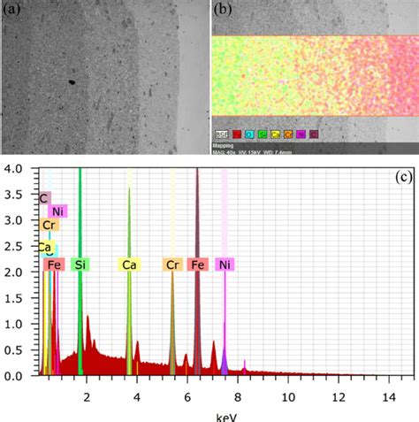 Sem Image And Eds Analysis Of Fgm Made Of Ss 316l Cs Where A Is Download Scientific Diagram