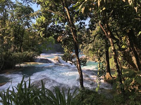 Palenque - Ruins and Waterfalls - The Travelling Triplet