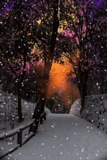 Animated Snowfall GIFs | Tenor