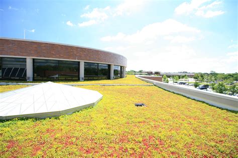 LiveRoof Brand Green Roofs 9 LiveRoof Brand Green Roof Systems Flickr