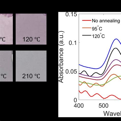 Absorption Spectra Of Au Nps In Three Cases I Only Small Au Nps With